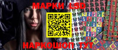 spice Кингисепп