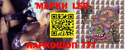 spice Кингисепп