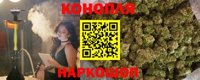 spice Кингисепп