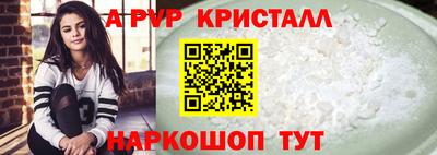 spice Кингисепп