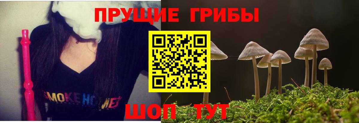 Галлюциногенные грибы Magic Shrooms  Галлюциногенные грибы Magic Shrooms  Чехов  Вход с VPN 